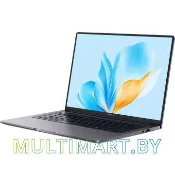 Ноутбук HONOR MagicBook X14 FRG-X (5301ALXL) картинка 3
